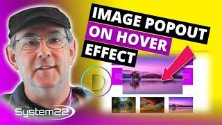 Divi Theme Image Popout On Hover Effect 