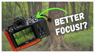 Back Button Focus on Nikon - Why and How