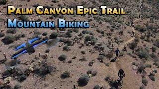 Palm Canyon Epic Mountain Biking in 4K with Skydio 2+ Aerial Footage