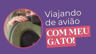 VIAJAR DE AVIÃO COM GATO: documentação, gabapentina, procedimentos e experiência de gato no avião