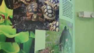 E O  Wilson Biophilia Center in Freeport, Fl Part 1 ,