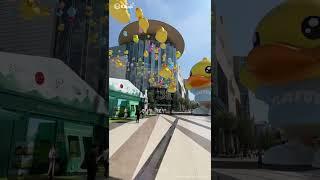 突發巨型B.Duck出沒注意（曼谷版）| BREAKING NEWSGiant B.Duck descends upon Bangkok! #bduck #bduckhk