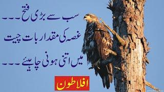 Aflatoon ki sunehri batein / Urdu quotes / sunehry alfaz / golden words / quotes / Hijaaz tv