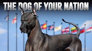 10 Official National Dog Breeds