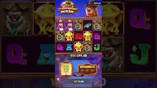 BIG SLOT WIN | The Dog House: Dog or Alive from Pragmatic Play | Wazbee