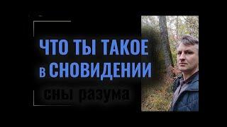 Чем является реальность на самом деле ? Что значит просветлеть. Андрей Веретенников | Хочу ясности