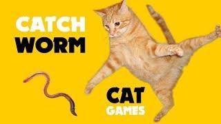 Games for cat  Catching WORM on screen