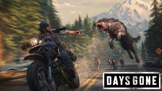 BURNING ALL ZOMBIE NEST|DAYS GONE|EP-4|