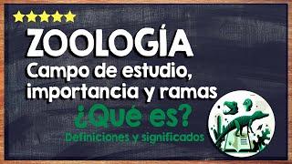  ¿Qué es la Zoología? - Campo de Estudio, Importancia y Ramas Principales  