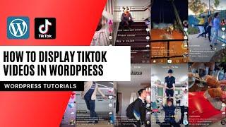 How to Display TikTok Videos in WordPress from your TikTok