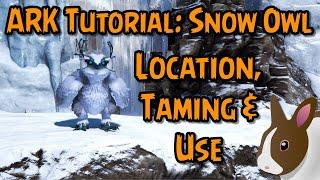 How to Tame & Use a Snow Owl in ARK: Survival Evolved | PC | PS | Xbox #ark #extinction