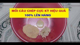 Hướng Dẫn Làm Mồi Câu Cá Chép Cực Kỳ Hiệu Quả