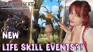 BIGGEST LIVE SKILL EVENTS?! | BDO Patch Notes May 29