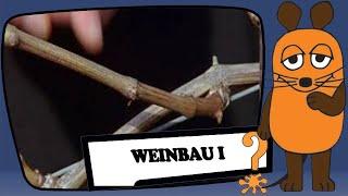 Weinbau - Part1