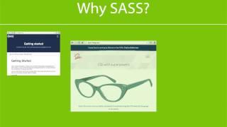 100. Why we're using SASS instead of LESS and Stylus