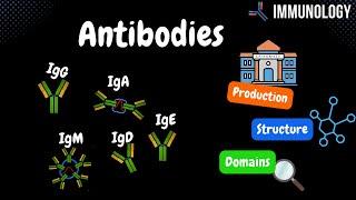 Antibodies (Origin, Components, Domains, IgG, IgM, IgA, IgD, IgE) +TABLE - Immunology