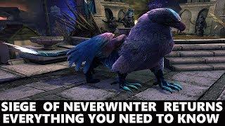 Neverwinter - The Siege of Neverwinter - EVERYTHING YOU NEED TO KNOW