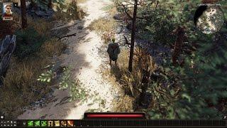 Divinity Original Sin 2 [Game Crash]