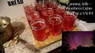 DITL of a Stay at Home Mom|Canning Violet and Dandelion Jelly + Seeing the Northern Lights |May 2024