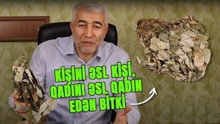 Kişini əsl kişi, qadını əsl qadın edən bitki - Epimedium | Fizuli Hüseynov