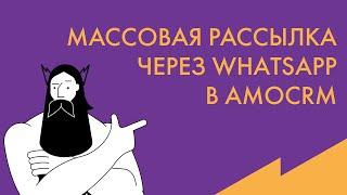 Обучение AmoCRM: Массовая WhatsApp рассылка в AmoCRM