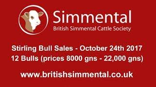 Simmental Bull Sale at Stirling (top 12 prices 8000 gns - 12000 gns) October 26th 2017