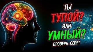 Тест: Насколько Ты Умный? Проверь Себя!