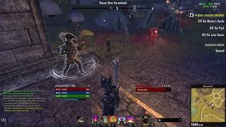 ESO Guard in Mournhold being attacked by ghost..