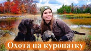 Охота на куропаток, девушка охотник, girl hunter, partridge hunting