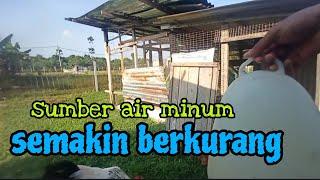 [Episod1401] sumber tadahan air minum ayam semakin kering. cuaca panas sangat awal ramadhan ni