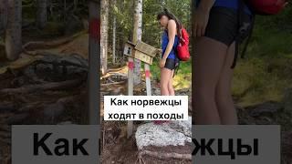 Как норвежцы ходят в походы #норвегия #норвежцы #жизньвнорвегии #скандинавия #походы