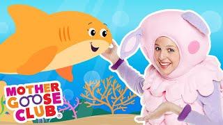 Baby Shark | Mother Goose Club Nursery Rhymes #NurseryRhymes