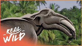 Uncovering The Dinosaurs Of The Great Plains | Paleo Sleuths | Real Wild