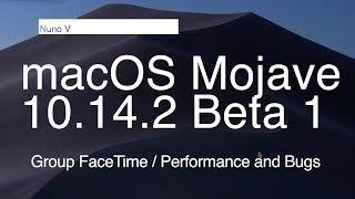 macOS Mojave 10.14.2 - New FaceTime Interface / Performance