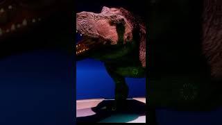 TYRANNOSAURUS REX EDIT #dinosaur #animal #curiosidades