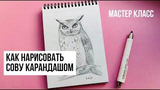 КАК НАРИСОВАТЬ СОВУ ПРОСТЫМ КАРАНДАШОМ. Рисунок для начинающих