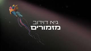 דניאלה ספקטור - כל הדברים היפים באמת (Guy Davidov Remix)