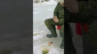 ЗИМНЯЯ РЫБАЛКА  -  WINTER FISHING