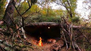 Bushcraft-Unterschlupf unter einem umgestürzten Baum - Survival-Camping, Naturgeräusche