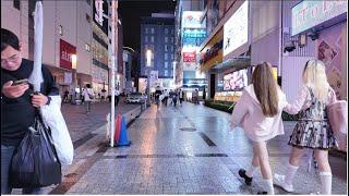 [4K] Akihabara Walk - Tokyo Night Walk, Japan | Tokyo's Anime, Electronics & Video Games Capital