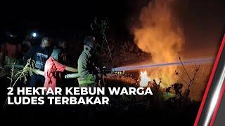 Warga Alami Kerugian Hingga Jutaan Rupiah Usai Kebun dan Lahannya Terbakar | OneNews Update