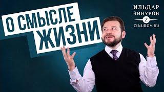 О СМЫСЛЕ ЖИЗНИ / ИЛЬДАР ЗИНУРОВ