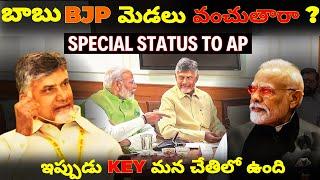 Chandrababu Naidu's Strategy to Get Special Status to AP Explained