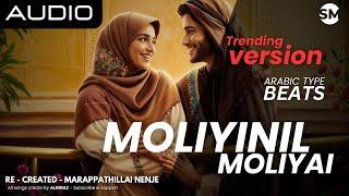 Moliyinil Moliyai  | ALIGRAZ Covered | Arabic Type Beats Version | Audio