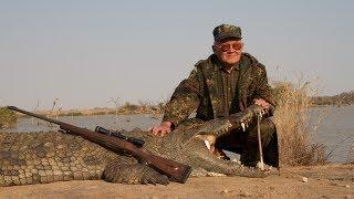 Nile Crocodile Zimbabwe