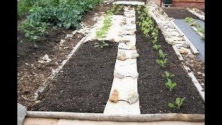 No dig, using less compost to grow great plants and have clean soil