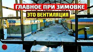 Зимовка пчел на улице Вентиляции в улье зимой Летки зимой