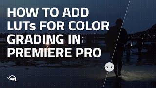 How to add LUTs for color grading in Premiere Pro