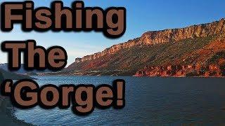 Flaming Gorge Fishing Trip 2018 | Utah Fishing | Spring Fishing | Sheep Creek Bay | Manila, Ut