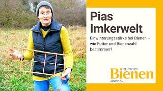 Pias Imkerwelt: Einwinterungsstärke bei Bienen – wie Futter und Bienenzahl bestimmen?